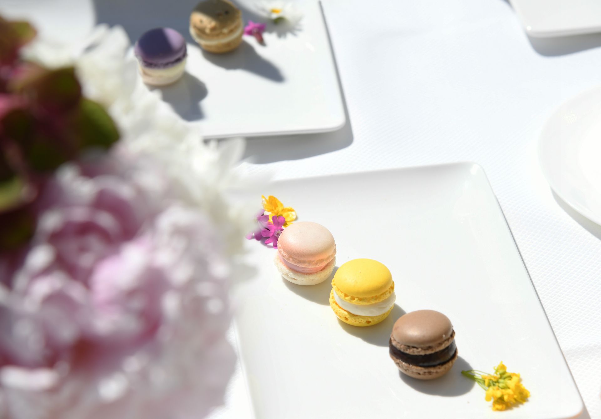Signature Afternoon Tea